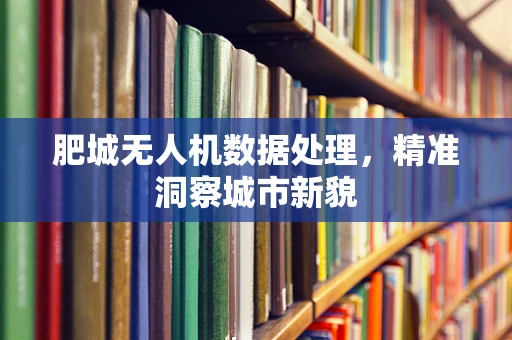 肥城无人机数据处理，精准洞察城市新貌