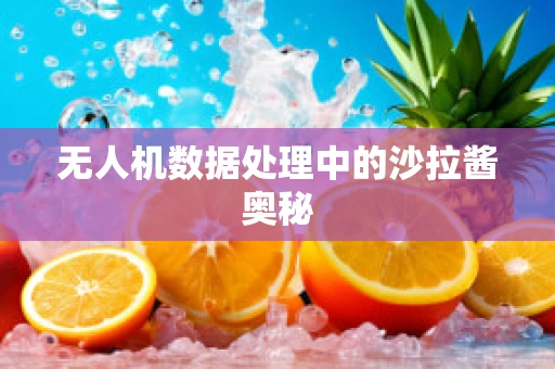 无人机数据处理中的沙拉酱奥秘