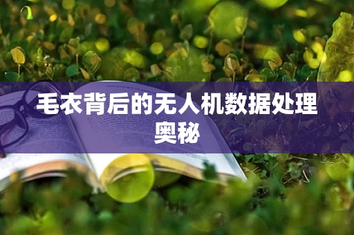 毛衣背后的无人机数据处理奥秘