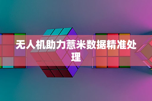 无人机助力薏米数据精准处理