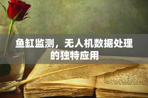 鱼缸监测，无人机数据处理的独特应用