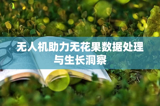 无人机助力无花果数据处理与生长洞察