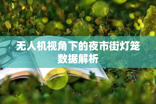 无人机视角下的夜市街灯笼数据解析