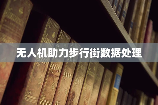 无人机助力步行街数据处理
