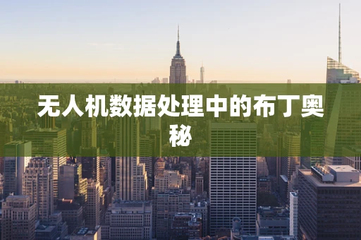 无人机数据处理中的布丁奥秘