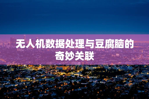 无人机数据处理与豆腐脑的奇妙关联