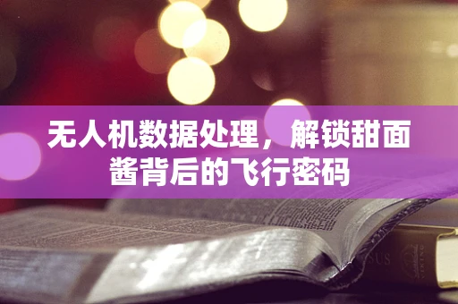 无人机数据处理，解锁甜面酱背后的飞行密码