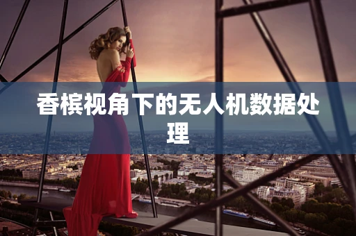 香槟视角下的无人机数据处理