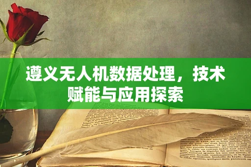 遵义无人机数据处理，技术赋能与应用探索