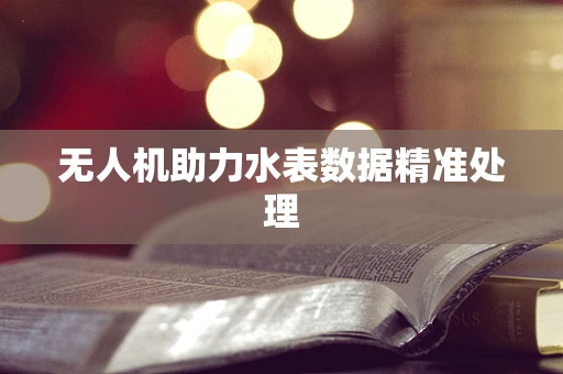 无人机助力水表数据精准处理