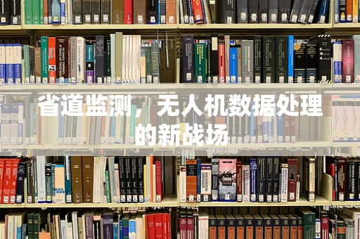 省道监测，无人机数据处理的新战场