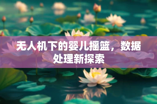 无人机下的婴儿摇篮，数据处理新探索
