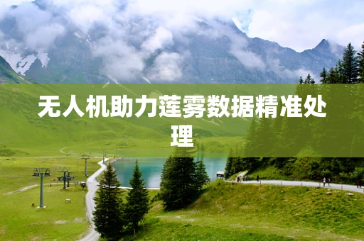 无人机助力莲雾数据精准处理
