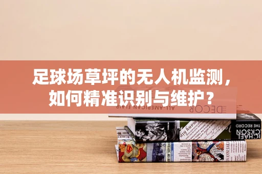 足球场草坪的无人机监测，如何精准识别与维护？