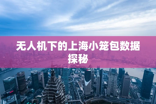 无人机下的上海小笼包数据探秘