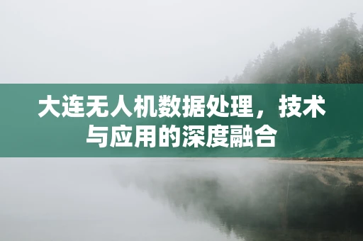 大连无人机数据处理，技术与应用的深度融合