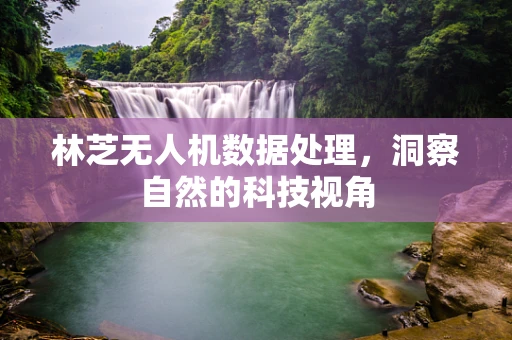 林芝无人机数据处理，洞察自然的科技视角