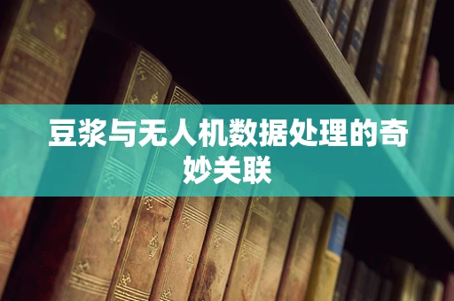 豆浆与无人机数据处理的奇妙关联