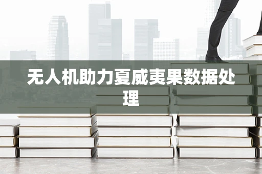 无人机助力夏威夷果数据处理