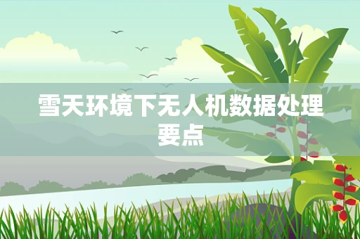 雪天环境下无人机数据处理要点