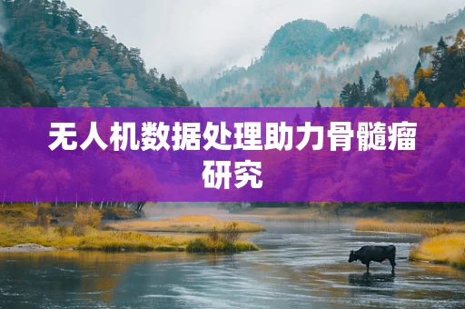 无人机数据处理助力骨髓瘤研究