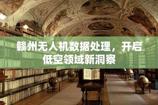 赣州无人机数据处理，开启低空领域新洞察