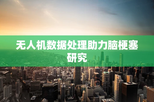 无人机数据处理助力脑梗塞研究
