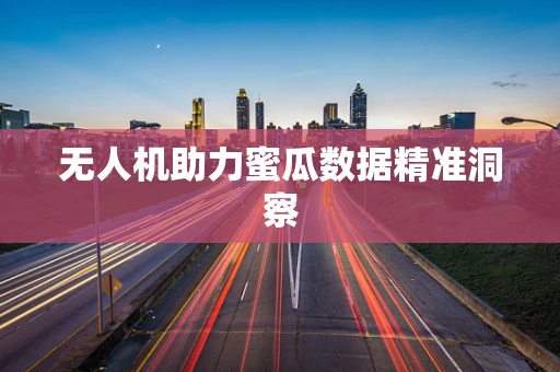 无人机助力蜜瓜数据精准洞察