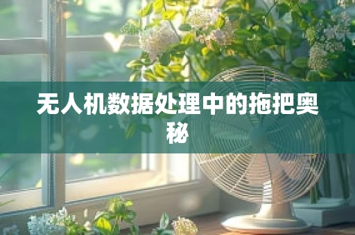 无人机数据处理中的拖把奥秘