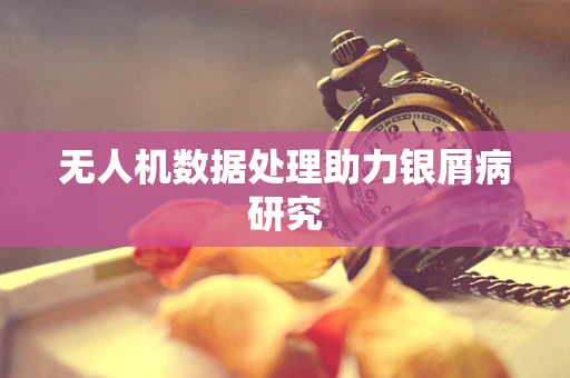 无人机数据处理助力银屑病研究