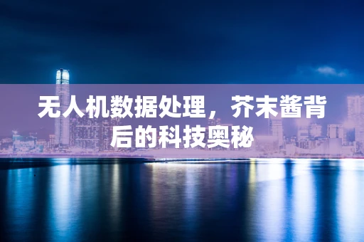 无人机数据处理，芥末酱背后的科技奥秘