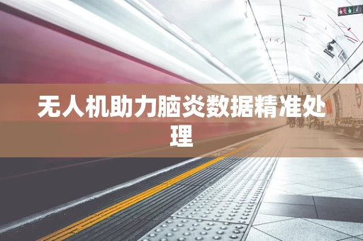 无人机助力脑炎数据精准处理