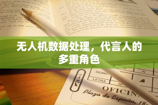 无人机数据处理，代言人的多重角色