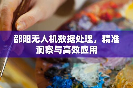 邵阳无人机数据处理，精准洞察与高效应用