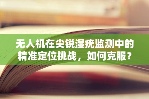 无人机在尖锐湿疣监测中的精准定位挑战，如何克服？