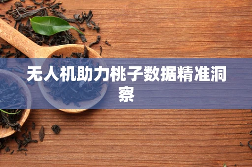 无人机助力桃子数据精准洞察
