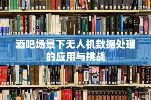 酒吧场景下无人机数据处理的应用与挑战
