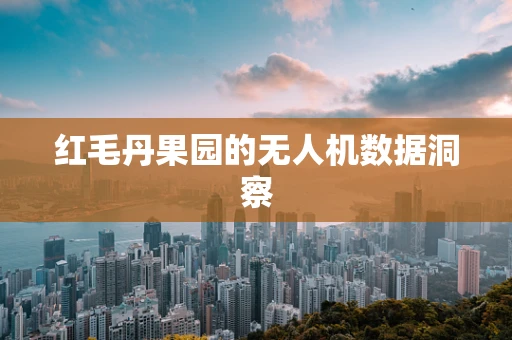 红毛丹果园的无人机数据洞察