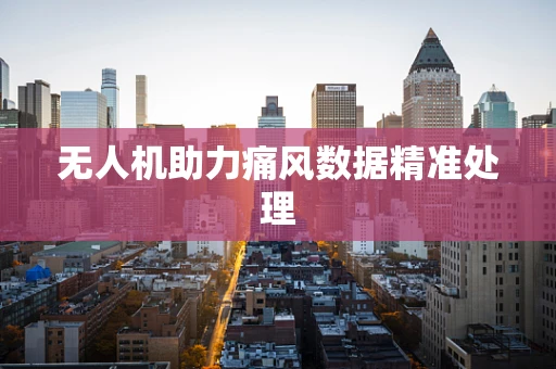 无人机助力痛风数据精准处理