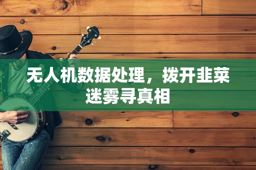 无人机数据处理，拨开韭菜迷雾寻真相