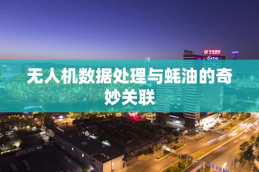 无人机数据处理与蚝油的奇妙关联