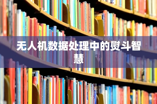 无人机数据处理中的熨斗智慧