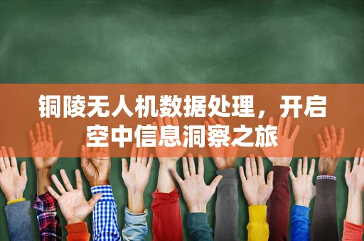 铜陵无人机数据处理，开启空中信息洞察之旅