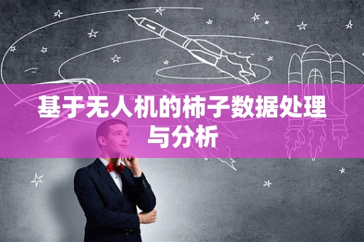 基于无人机的柿子数据处理与分析