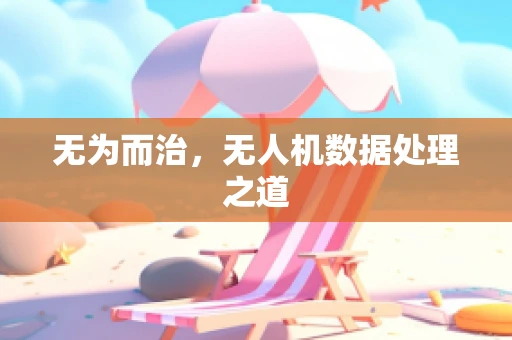 无为而治，无人机数据处理之道