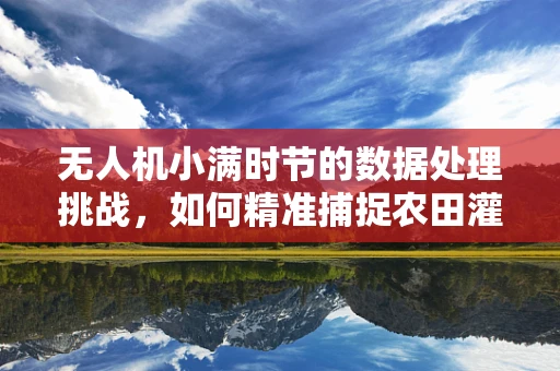 无人机小满时节的数据处理挑战，如何精准捕捉农田灌溉的黄金时刻？