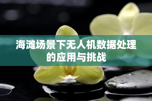 海滩场景下无人机数据处理的应用与挑战