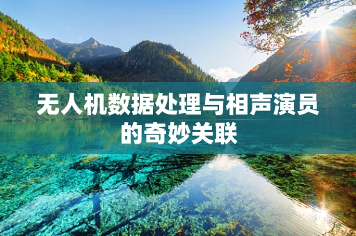 无人机数据处理与相声演员的奇妙关联