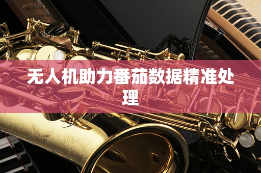 无人机助力番茄数据精准处理