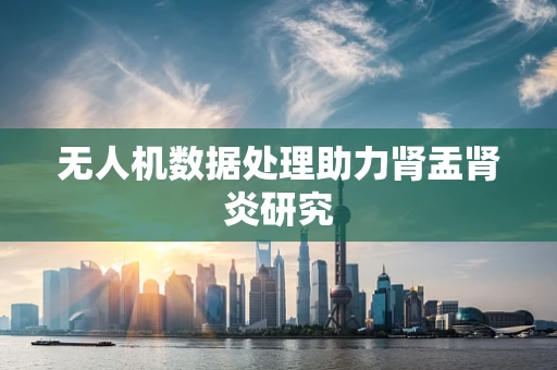 无人机数据处理助力肾盂肾炎研究